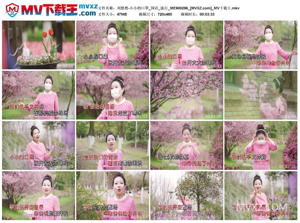 刘悠然-小小的口罩_国语_流行_ME900296